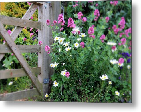Flowers Metal Print featuring the photograph Country Flowers by Ruth Parsons