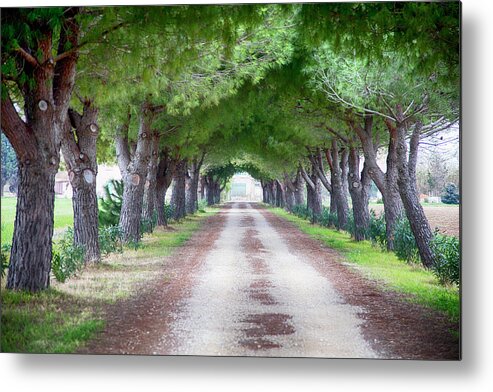 Vendres Metal Print featuring the photograph Country Lane Vendres France by Hugh Smith