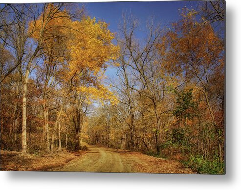 Country Road Metal Print featuring the photograph Country Road - Autumn - Iowa by Nikolyn McDonald
