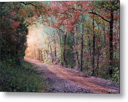 Country Metal Print featuring the photograph Country Road by Bill Stephens