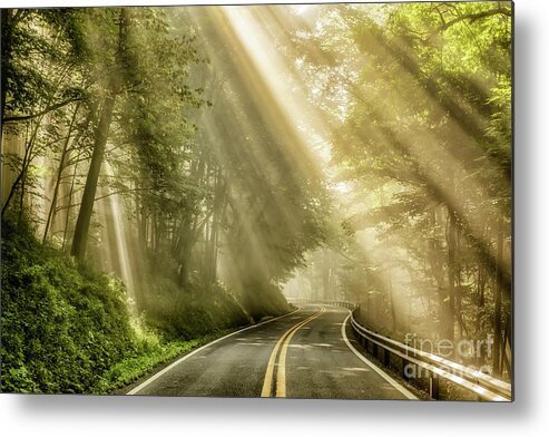 Sun Rays Metal Print featuring the photograph Country Road Rays of Light by Thomas R Fletcher