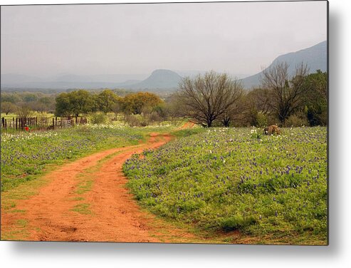 Country Road Metal Print featuring the photograph Country Road with Wild flowers by Brian Kinney