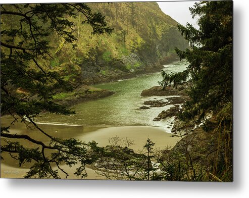 Cove Metal Print featuring the photograph Cove At Cape Disappointment Park by Aashish Vaidya