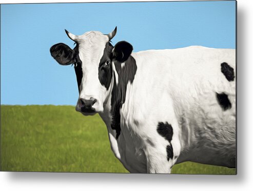 Cow Metal Print featuring the photograph Cow Prints by Steven Michael