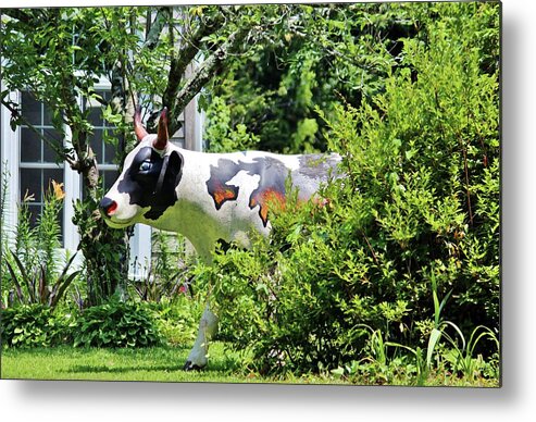 Cow Metal Print featuring the photograph Cow Statue by Cynthia Guinn