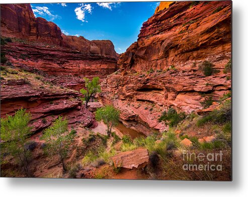 Coyote Gulch Metal Print featuring the photograph Coyote Gulch at Sunset by Gary Whitton