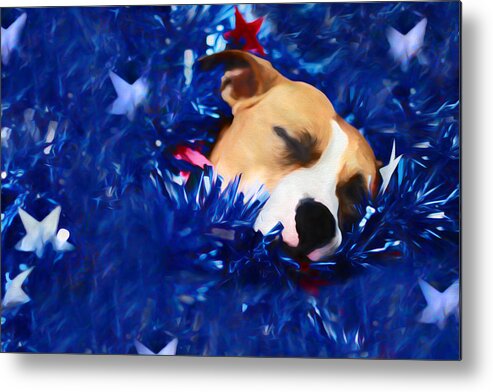 Usa Metal Print featuring the photograph Cradled by a Blanket of Stars and Stripes by Shelley Neff
