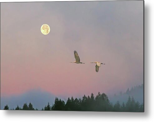 Sandhill Cranes Metal Print featuring the photograph Cranes and a Full Moon at Dawn by Peggy Collins