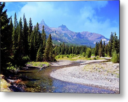 Beartooth Mountains Metal Print featuring the photograph Creek in the Beartooths by Marty Koch