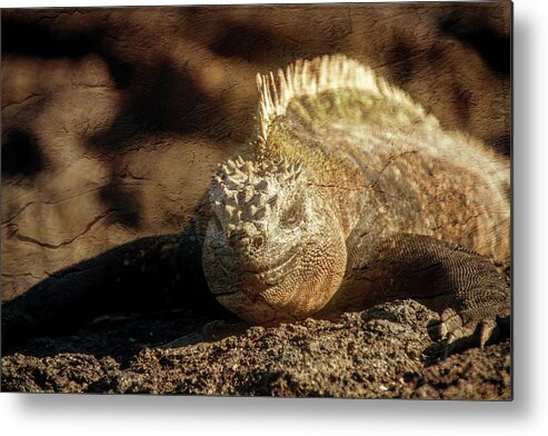 Photography Metal Print featuring the digital art Creeping Toward You by Terry Davis