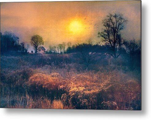 Meadows Metal Print featuring the photograph Crossing through the Meadows by John Rivera