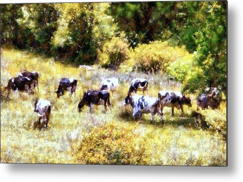Cows Metal Print featuring the photograph Dairy Cows in a Summer pasture by Janine Riley