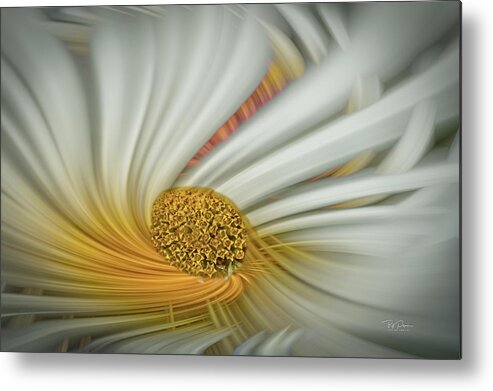 Daisies Metal Print featuring the digital art Daisy Swirl by Bill Posner