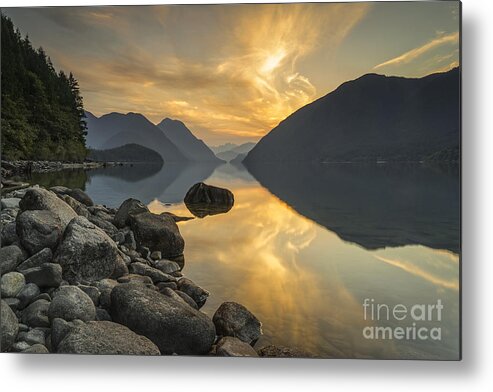 Alouette Metal Print featuring the photograph Dancing Skies by Carrie Cole