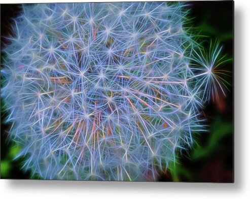 Abstract Metal Print featuring the photograph Dandy by Cathy Kovarik