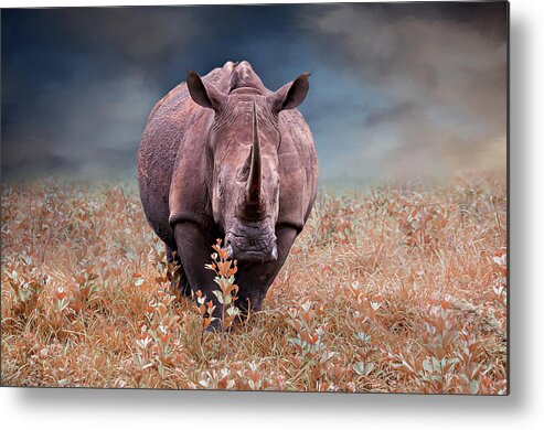 Africa Metal Print featuring the photograph Dangerous by Maria Coulson