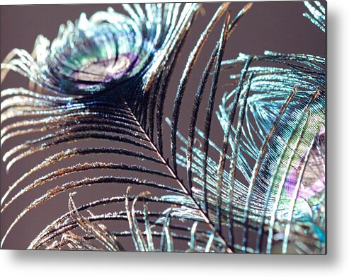 Peacock Feather Metal Print featuring the photograph Dark Feathers by Angela Murdock