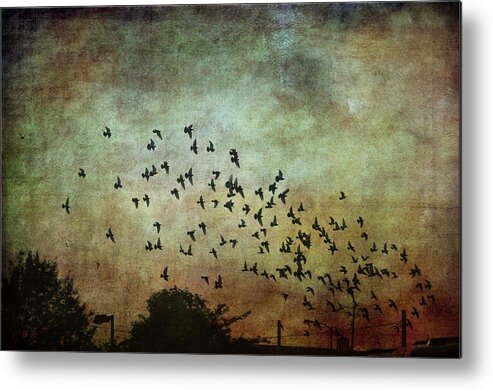 Sunsets Metal Print featuring the photograph Dark Kentucky Skies by Jan Amiss Photography