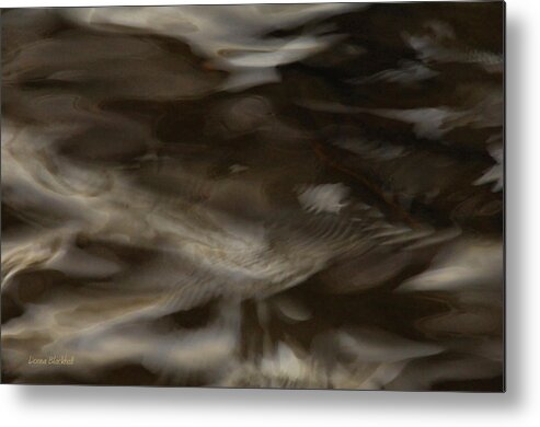 Water Metal Print featuring the photograph Dark Mystery by Donna Blackhall