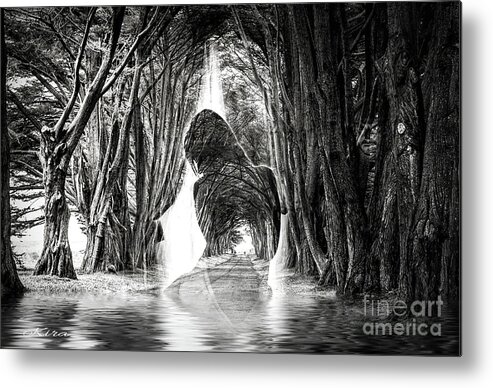 Woman Metal Print featuring the photograph Darkness and Light by Kira Bodensted