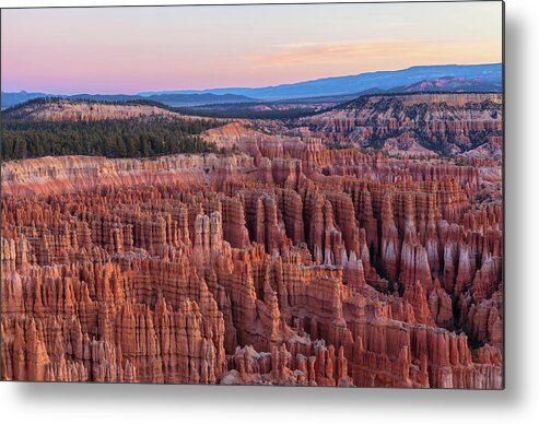 Bryce Canyon National Park Metal Print featuring the photograph Dawn At Bryce by Jonathan Nguyen