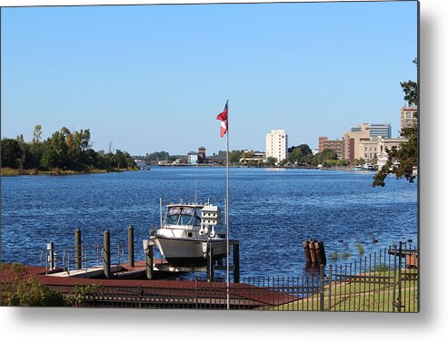 View Metal Print featuring the photograph Daytime Beauty by Cynthia Guinn
