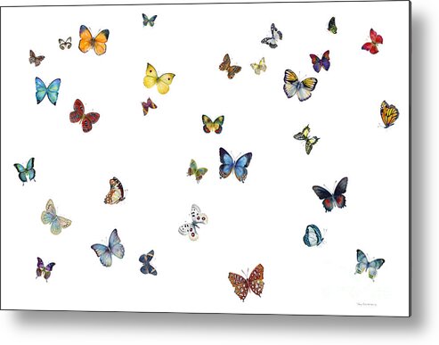 Butterflies Metal Print featuring the painting Delphine by Amy Kirkpatrick
