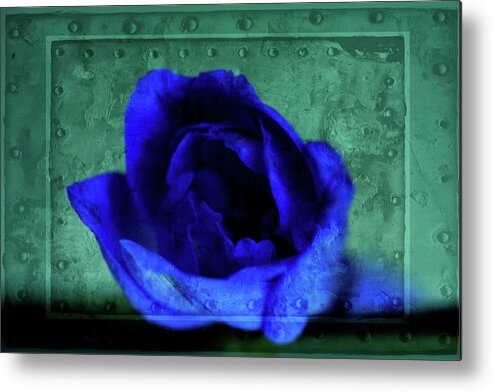 Mixed Media Metal Print featuring the mixed media Delphinium by Bonnie Bruno
