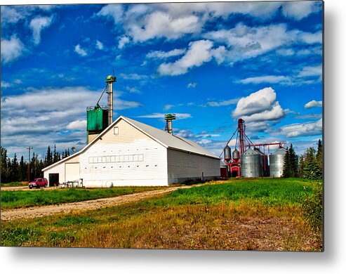  Metal Print featuring the photograph Delta Farmers Co Op by Cathy Mahnke