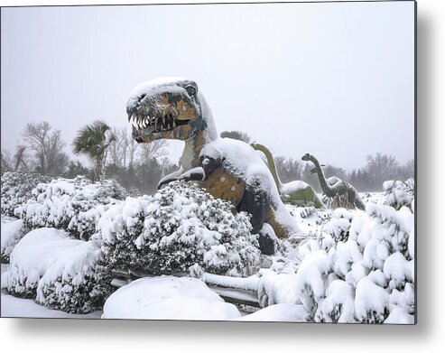 Photosbymch Metal Print featuring the photograph Demise of the dinosaurs by M C Hood
