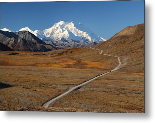 Denali Metal Print featuring the photograph Denali Is Out by Steve Wolfe