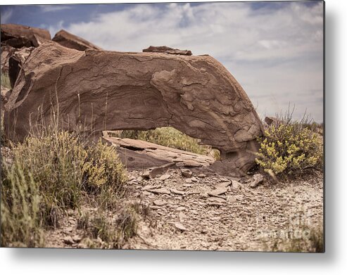 Landscapes Metal Print featuring the photograph Desert Badlands by Melany Sarafis