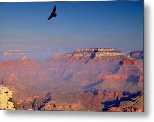 Autumn Metal Print featuring the photograph Desert Song by Beth Collins