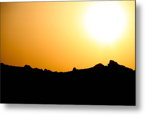 2015 Metal Print featuring the photograph Desert Strength by Jez C Self