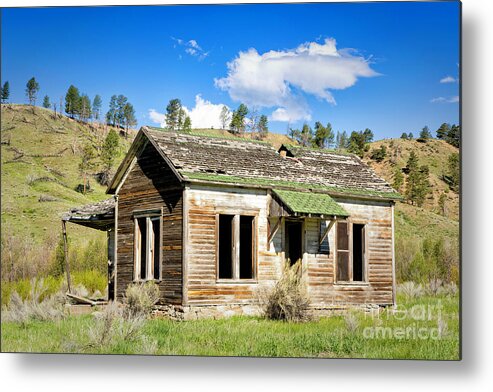 Shed Metal Print featuring the photograph Deserted Colorado Cabin by Timothy Hacker