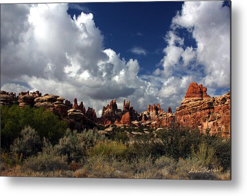 Canyonlands National Park Metal Print featuring the photograph Devil's Kitchen by Dan Norris
