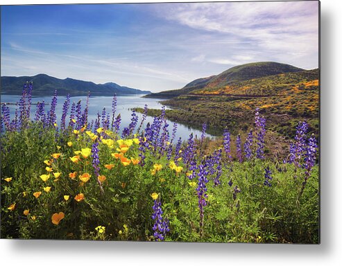 Lakes Metal Print featuring the photograph Diamond Valley by Tassanee Angiolillo