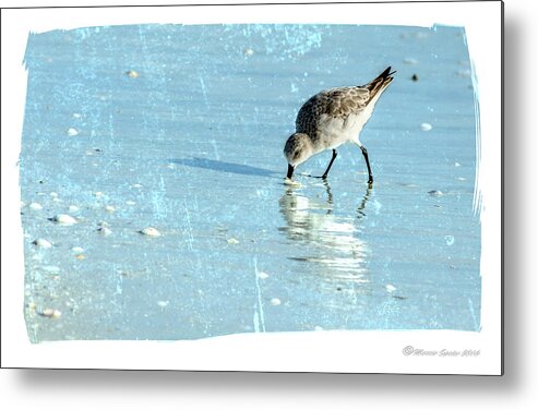 Birds Metal Print featuring the photograph Dig In by Marvin Spates