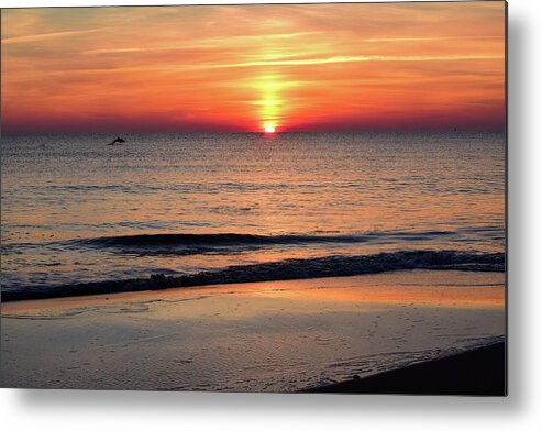 Dolphin Metal Print featuring the photograph Dolphin Jumping in the Sunrise by Nicole Lloyd