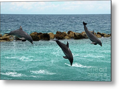 Dolphins Metal Print featuring the photograph Dolphins Showtime by Adriana Zoon