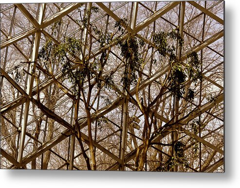  Metal Print featuring the photograph Domes by Michael Nowotny