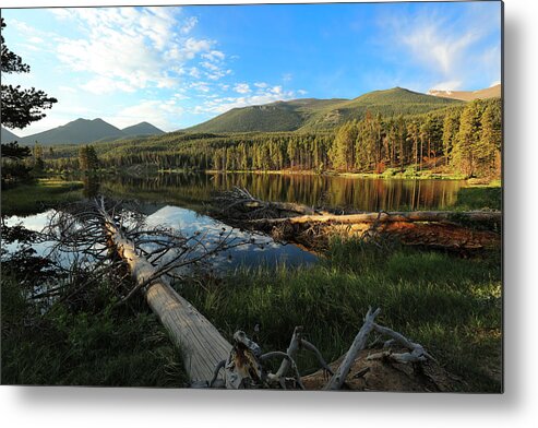 Rocky Metal Print featuring the photograph Downed Tree at Sprauge Lake by Sean Allen