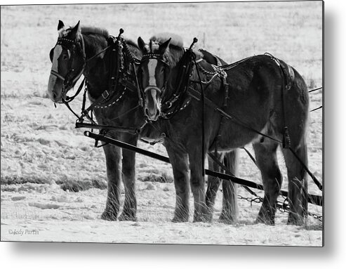 Horse Metal Print featuring the photograph Draft Team by Jody Partin