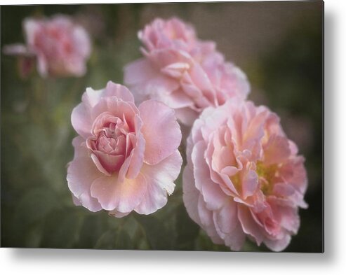 Flower Metal Print featuring the photograph Dream A Dream by Lucinda Walter