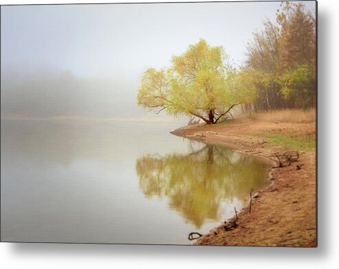 Background Metal Print featuring the photograph Dream Tree by Robert FERD Frank