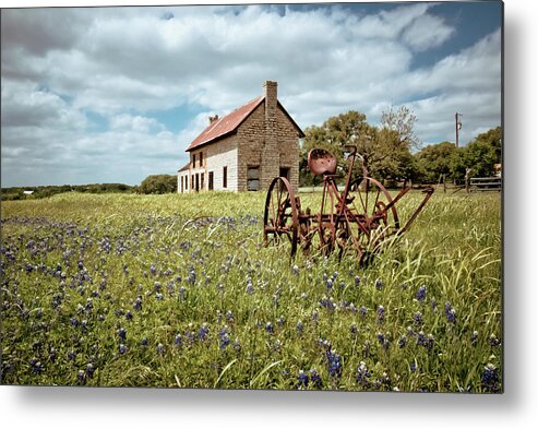 Bluebonnets Metal Print featuring the photograph Dreams of Long Ago by Linda Unger