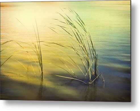 Water Metal Print featuring the photograph Dreamy Lake Shore Reflections by Ann Powell