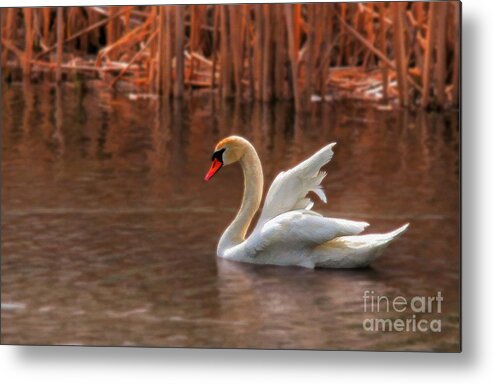 Wildlife Metal Print featuring the photograph Dreamy by Lois Bryan