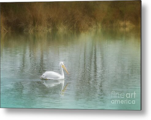 Nature Metal Print featuring the photograph Dreamy Solitude by Norma Warden
