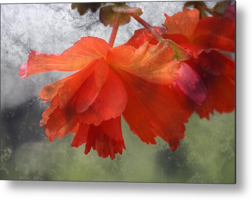 Flower Metal Print featuring the photograph Dreamy Tangerine by Julie Lueders 